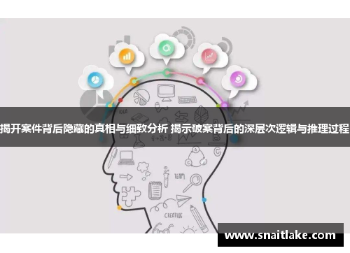 揭开案件背后隐藏的真相与细致分析 揭示破案背后的深层次逻辑与推理过程 揭开案件背后隐藏的真相与细致分析 揭示破案背后的深层次逻辑与推理过程