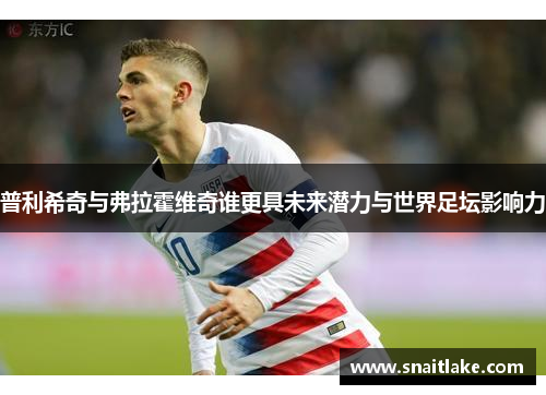 普利希奇与弗拉霍维奇谁更具未来潜力与世界足坛影响力 普利希奇与弗拉霍维奇谁更具未来潜力与世界足坛影响力