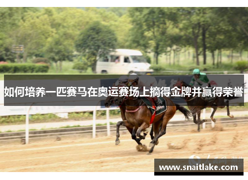 如何培养一匹赛马在奥运赛场上摘得金牌并赢得荣誉