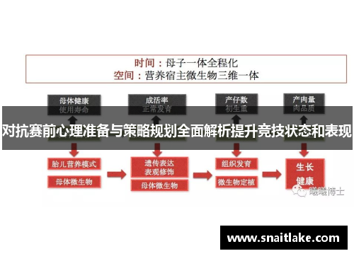 对抗赛前心理准备与策略规划全面解析提升竞技状态和表现